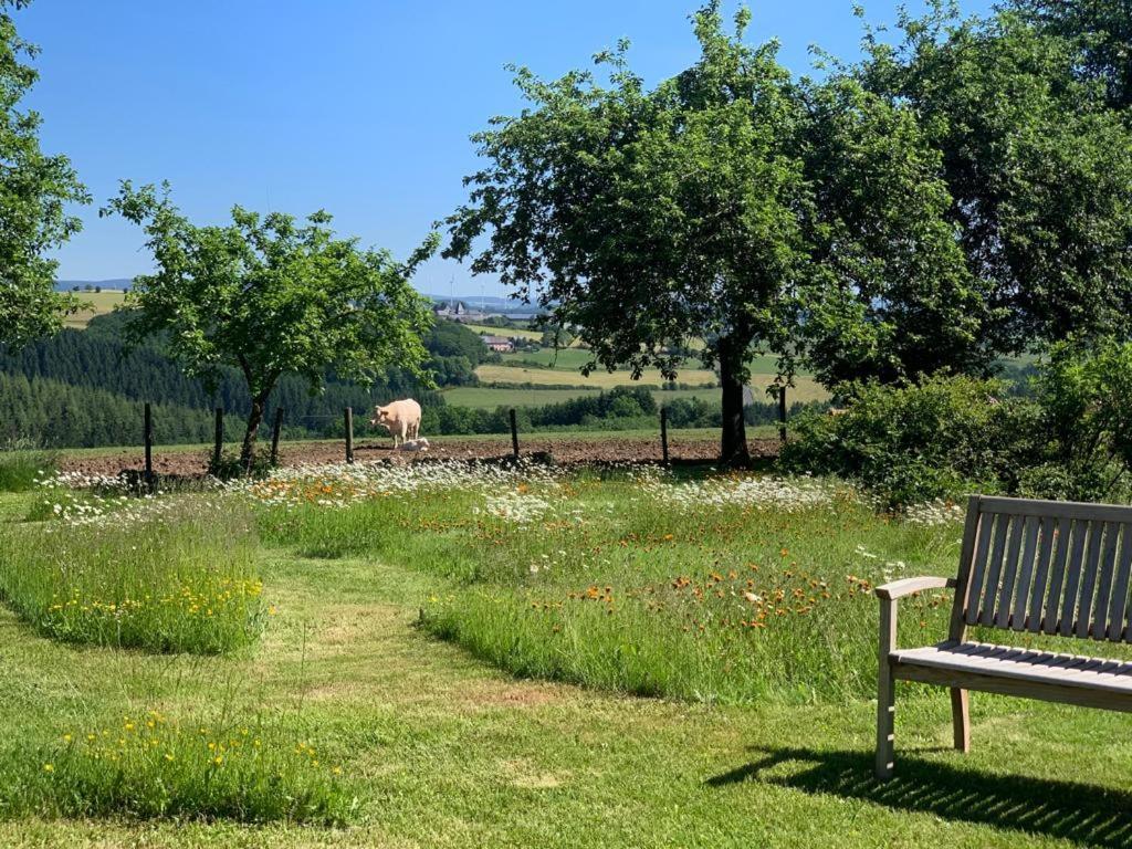 Urlaub Mit Hund Auf Dem Bauernhof Hofswald Apartment Euscheid Ngoại thất bức ảnh