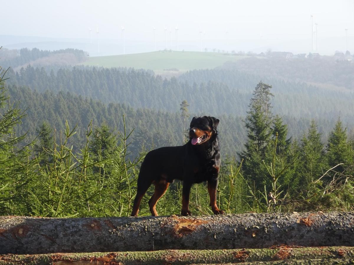 Urlaub Mit Hund Auf Dem Bauernhof Hofswald Apartment Euscheid Ngoại thất bức ảnh